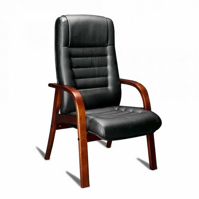 Кресло для руководителя Мирэй MYRA АD, экокожа OREGON